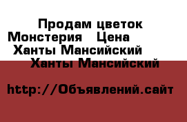 Продам цветок Монстерия › Цена ­ 6 000 - Ханты-Мансийский  »    . Ханты-Мансийский